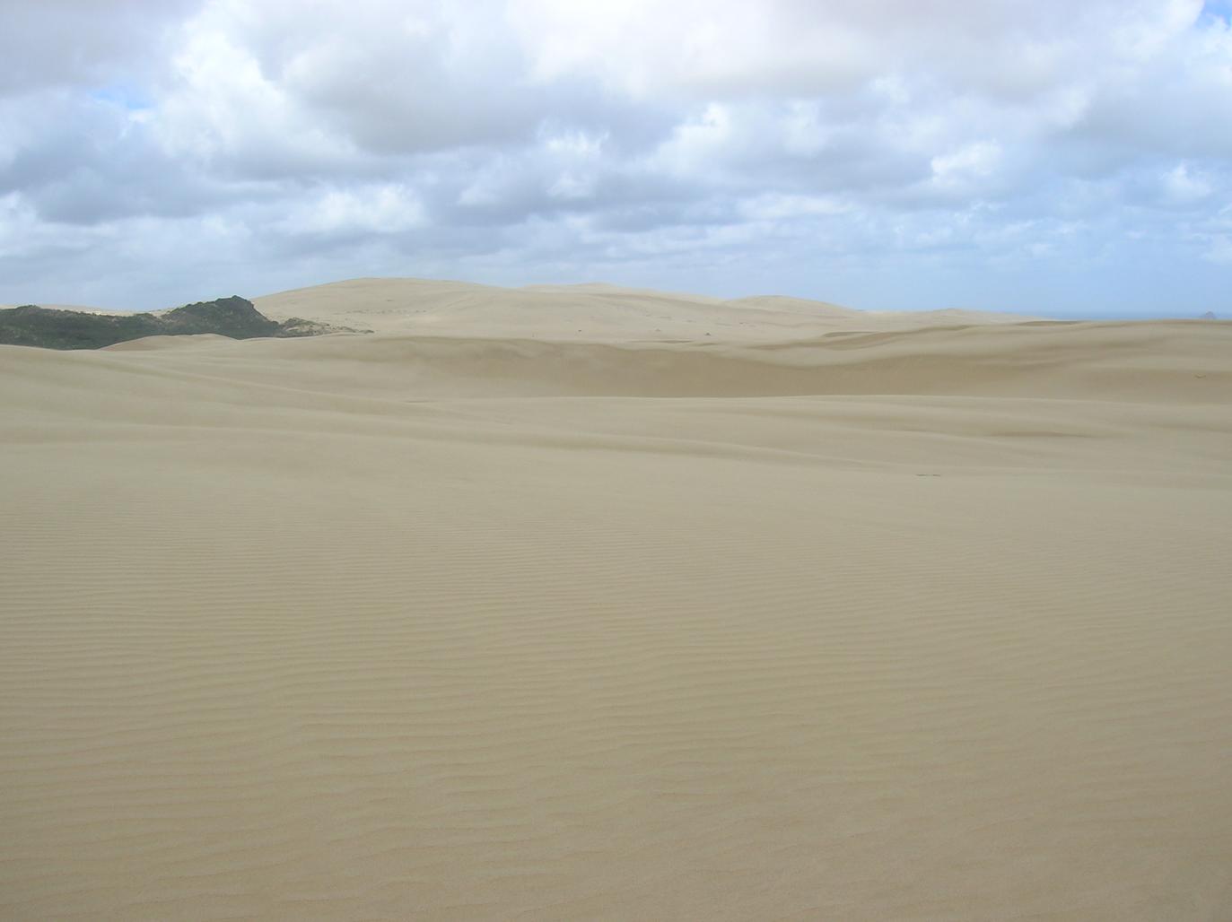 Big Sand Dunes am Ninety Mile Beach 3