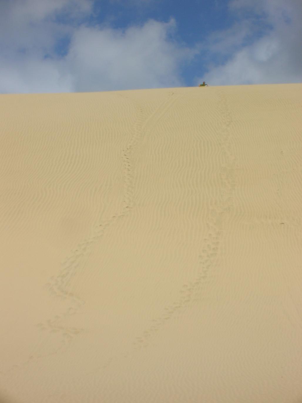 Sand Boarding 3